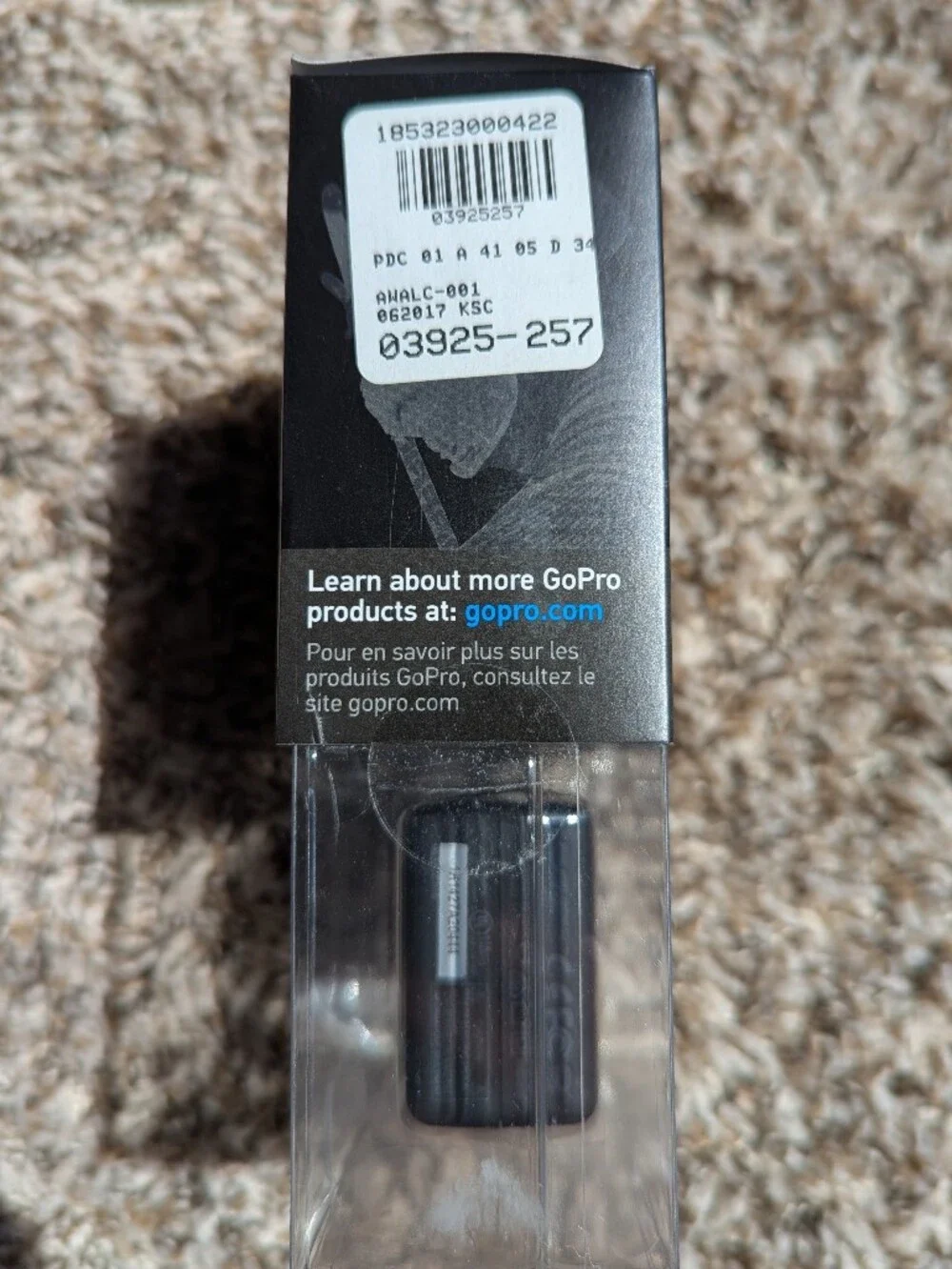 GoPro Wall Charger (International)